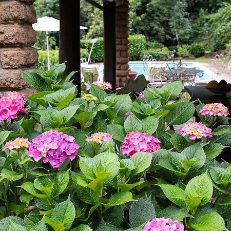 Letizia With Pool - 10 Min Drive To Town *